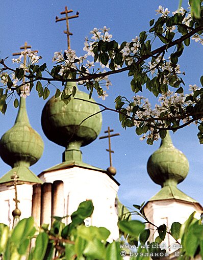 Kaluga district. Romadanovo. Church of Nativity of the Virgin. XVII 