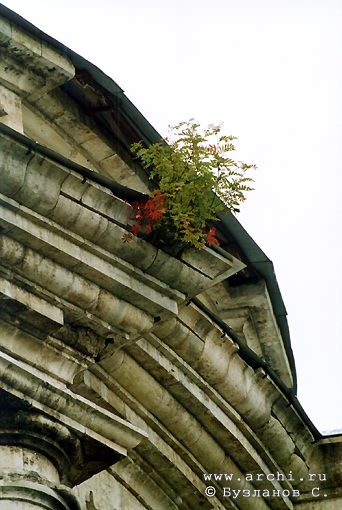 Kasimovsky district. Gus-Zhelezny. Trinity Church. Fragment. XIX I.Gagin