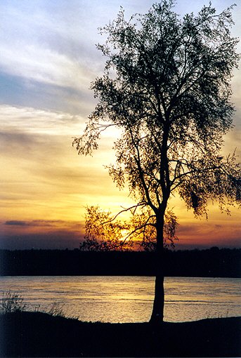 Kirovsky district. Shlisselburg. Neva. Sunset.