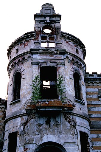 Sudogodsk district. Muromtsevo. Estate of Khrapovitsky. Palace. IX