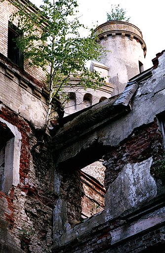 Sudogodsk district. Muromtsevo. Estate of Khrapovitsky. Palace. IX